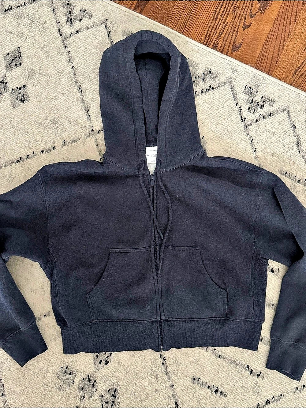 Aritzia Cozy Sweatfleece Boyfriend Boxy Zip Hoodie